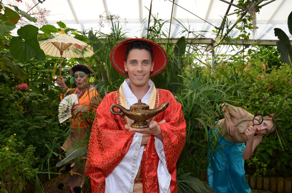 Aladdin Butterfly Zoo