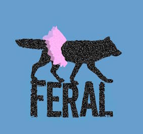 Feral Fox
