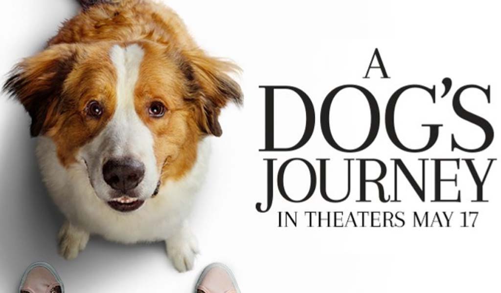 A dog's Journey