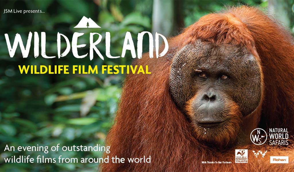 Wilderland