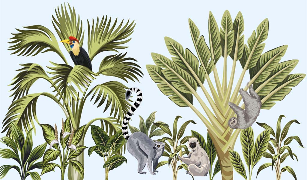 Jungle Animals