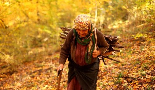 An elderly woman walks through an autumn forest hunched over with a walking stick carrying a stack of sticks on her back in a still from the film Beloved
