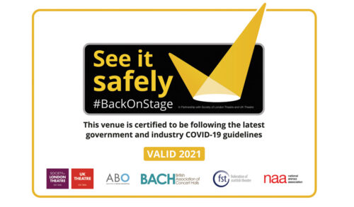 See it Safely Certificate