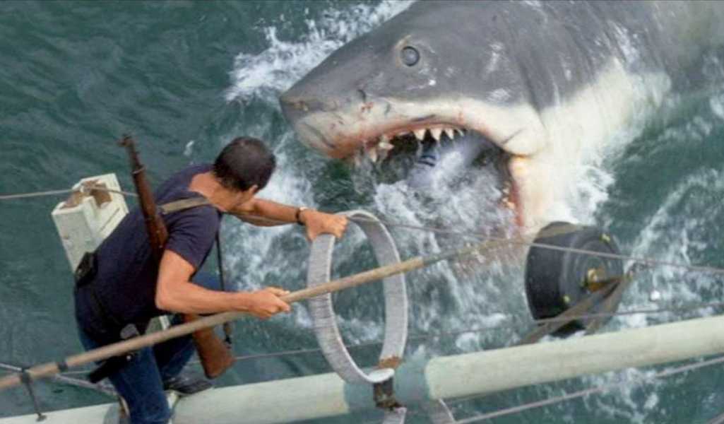 My Favourite Film - Jaws - Shark attacking a boat