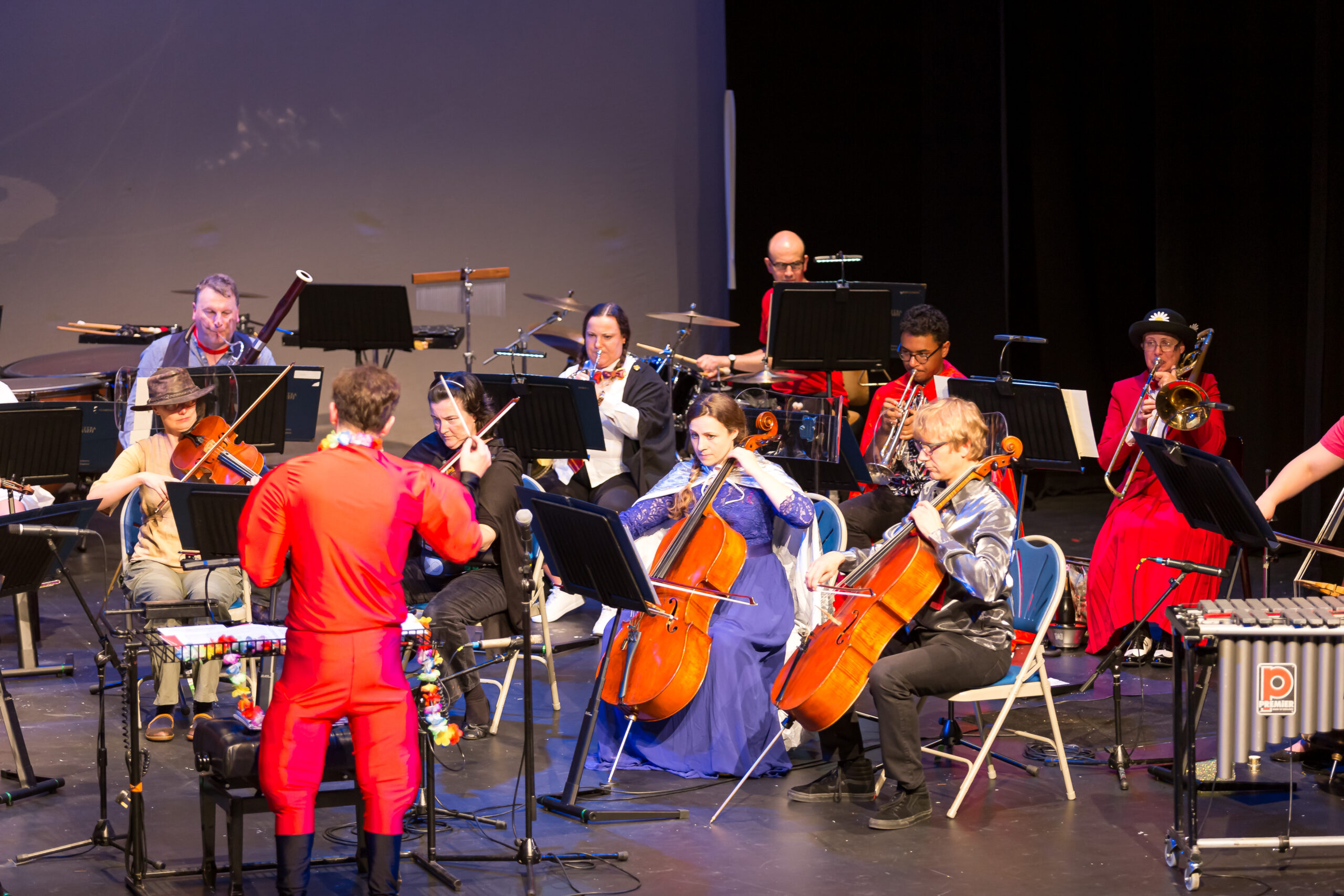 A close up of an orchestra playing while in fancy dress