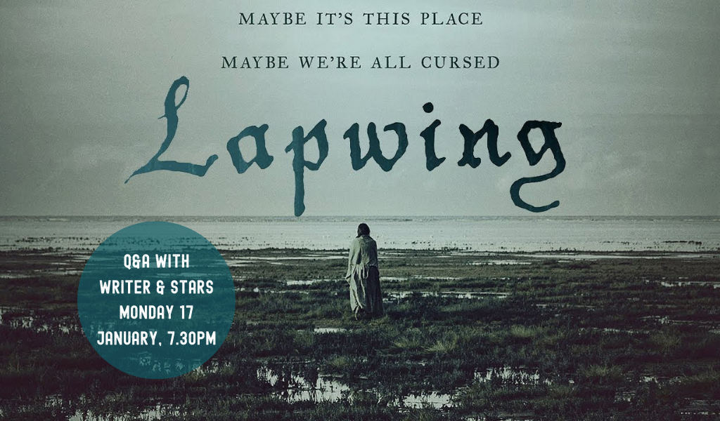 Lapwing: image of a woman standing on a marsh looking out to sea in eerie grey lighting