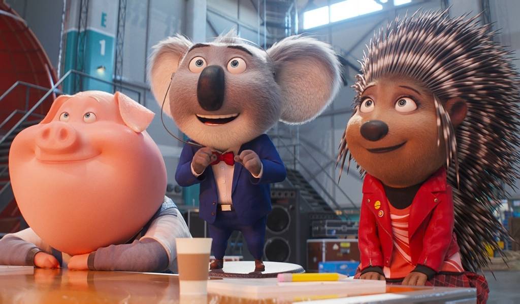 A pig, a koala and a porcupine stand in great anticipation