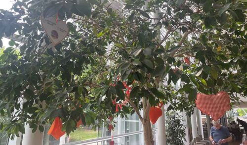 A tree in The Courtyard Caf Bar with crafted orange hearts hanging from it one reads Refugee Week Herefordshire Council No Prejudice Here
