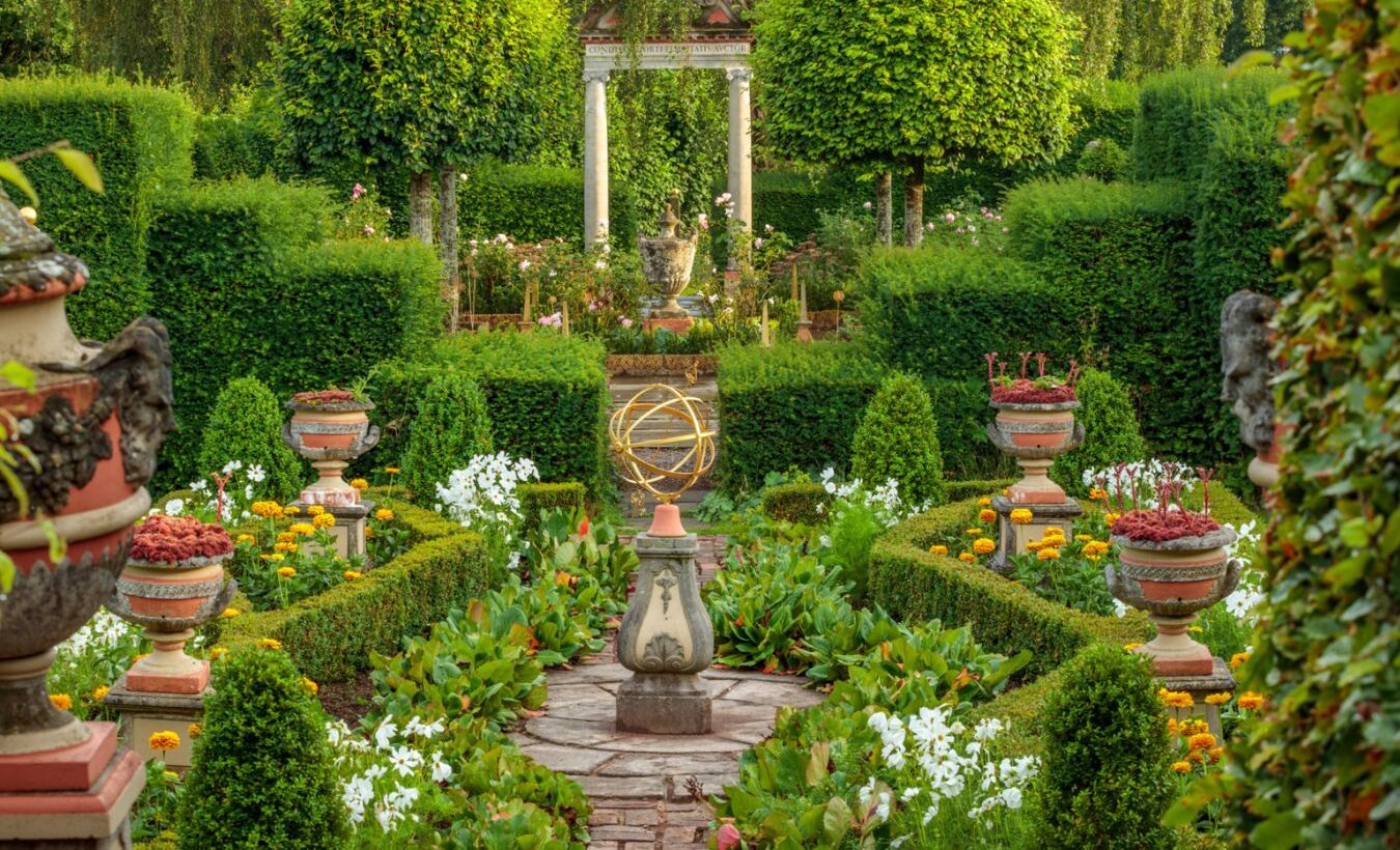 An image of a well-kept garden
