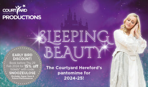 A purple and blue sparkly image with a castle in the background and a young blonde woman with her hands by her face sleeping The title reads Sleeping Beauty The Courtyard Herefords Pantomime for 202425 15 off earlybird tickets if booked before end of Feb 2024 with code SNOOZEULOSE  excludes supersave and school shows