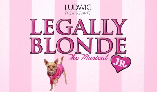 Legally Blonde Jr  a pink stripy background with Legally Blonde The Musical written over the top and a photo of a chihuahua in a pink outfit