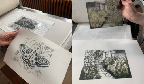 Drypoint Etching prints on paper