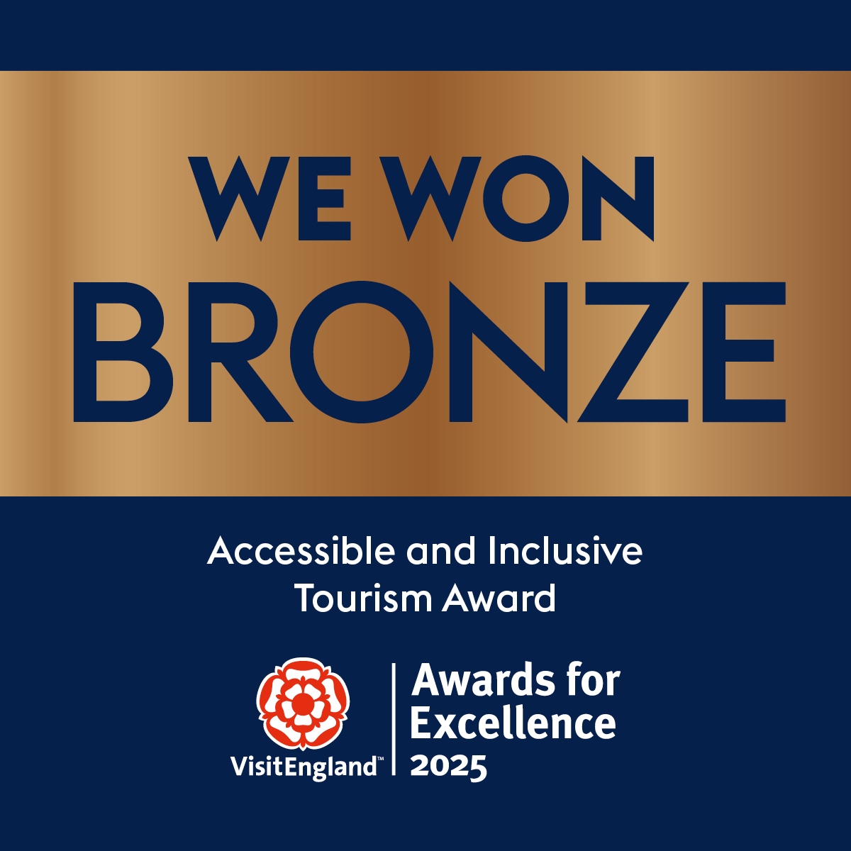 Access & inclusive Bronze Socialas