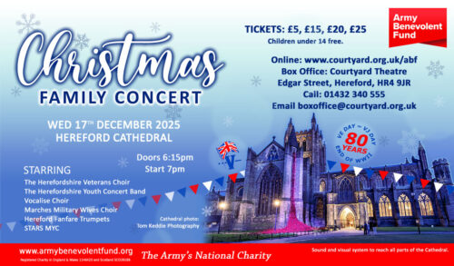 ABF Christmas Concert image